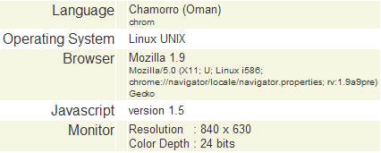How the OLPC appears when it visits a web site.